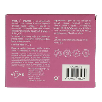 IntestVita Enzymes 60 gélules