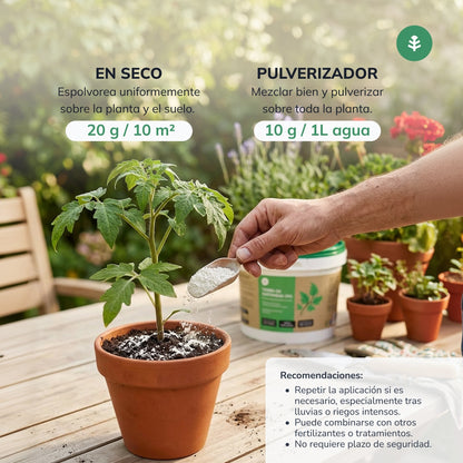 Kieselgur Planeta Huerto 2 Kg