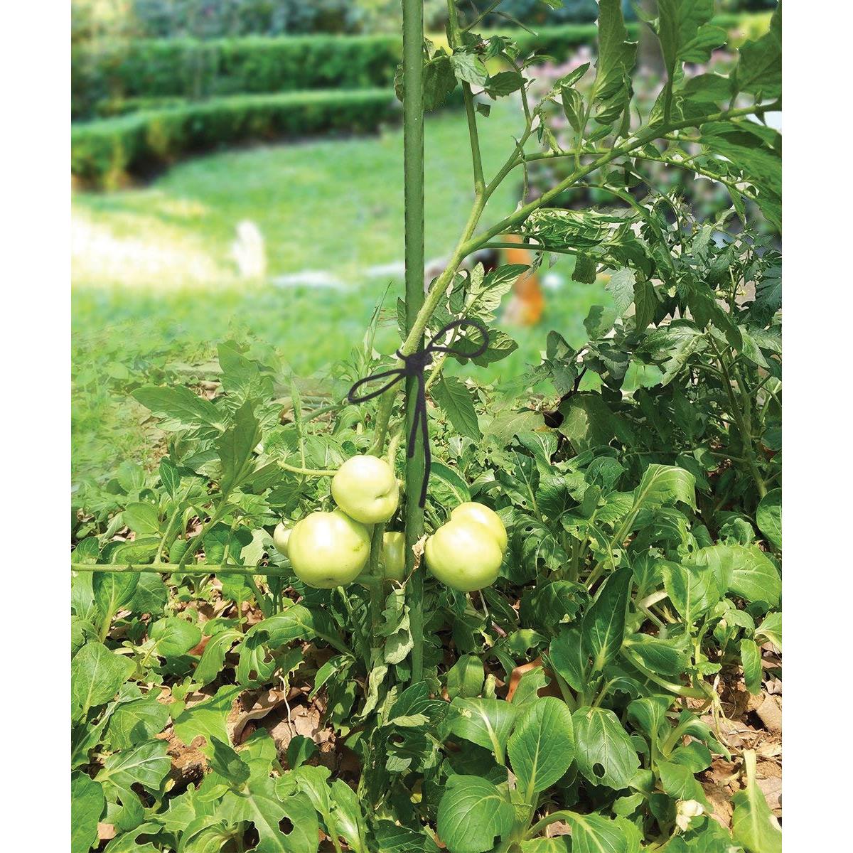 90 cm extendable plant support Biotop 90 cm.