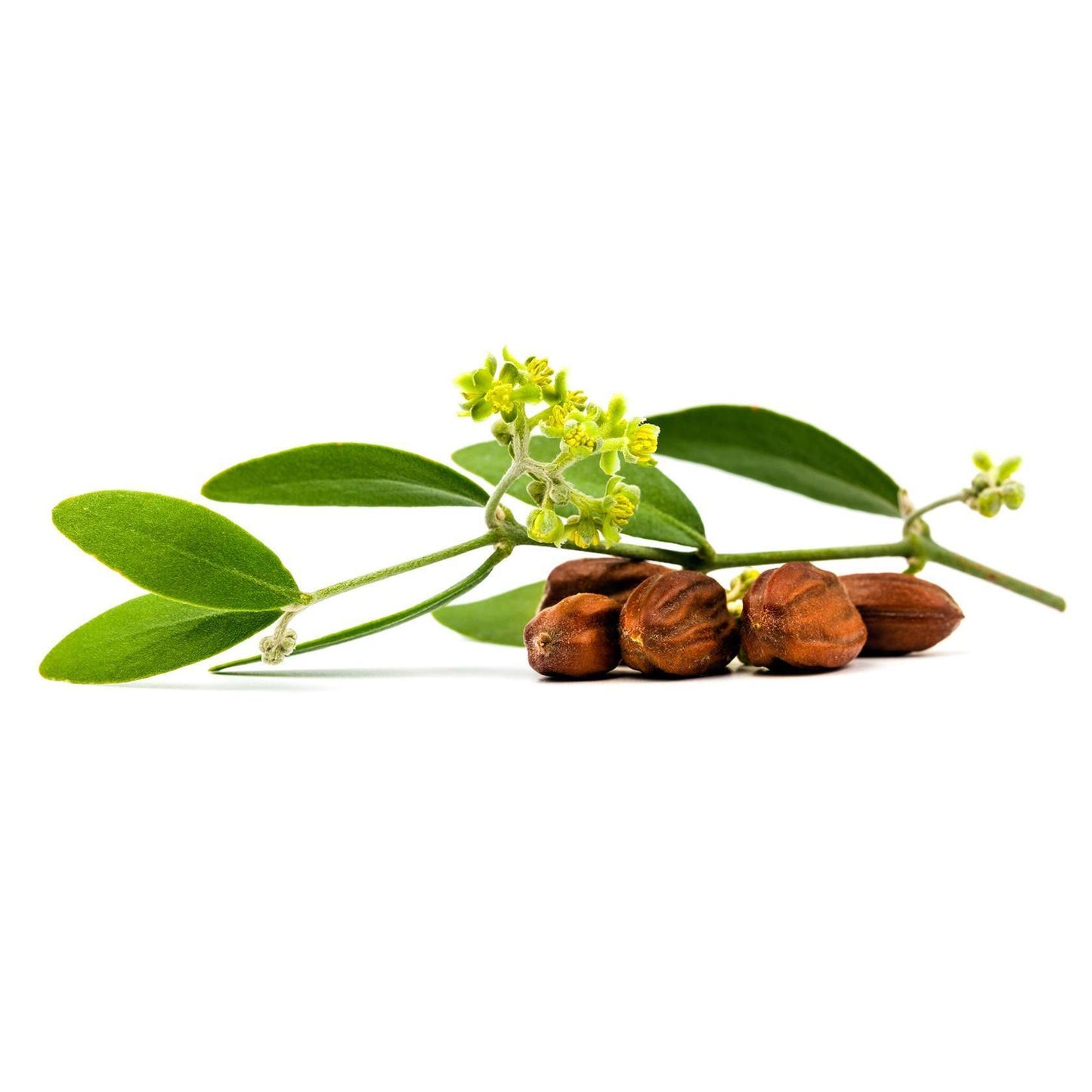 Crema día hidratante anti arrugas Q10 Lavera 50 ml