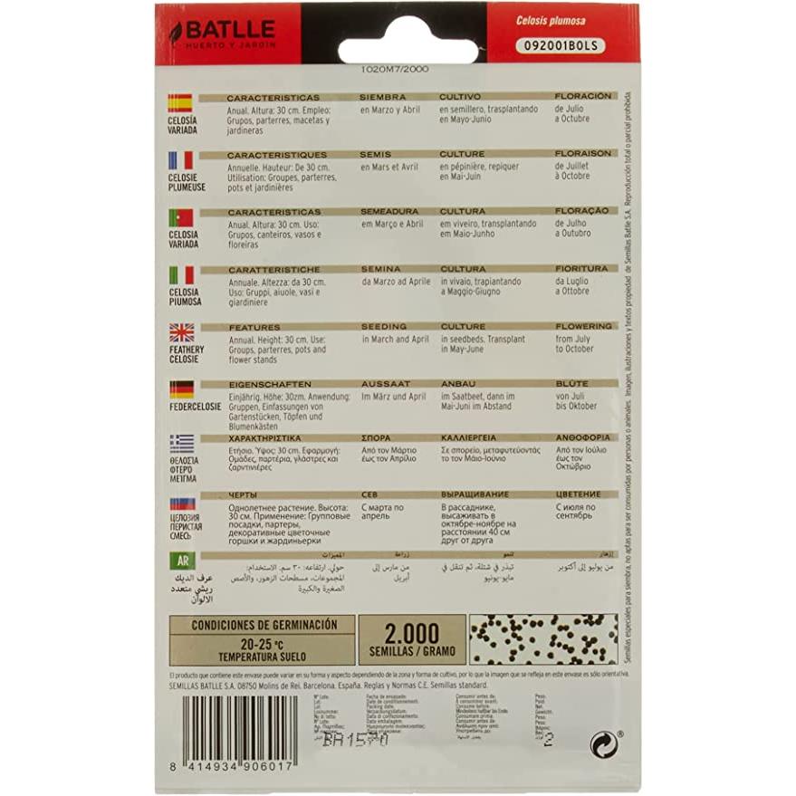 Zaden van gevarieerde pluimcelsia Batlle