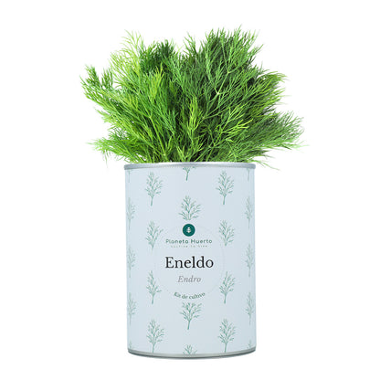 Aromatische kweeksets Kistpakket Planeta Huerto