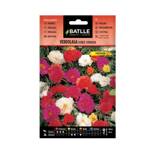 Zaden van smeerwortel Batlle