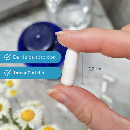 Pack 2xMagnesium Bisglycinat 500 mg Planeta Huerto 180 Kapseln