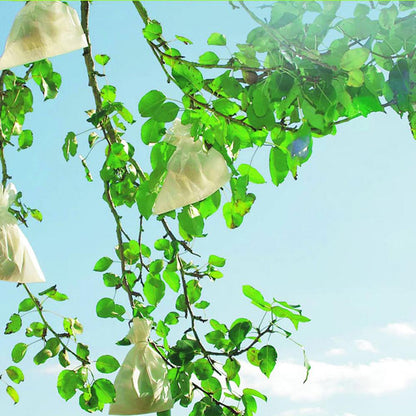 Coperture protettive per frutta Fruitsac Nortene 50 pz. 17 x 22 cm.