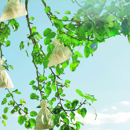 Fruitsac Nortene protective fruit covers, 50 units, 20 x 30 cm.