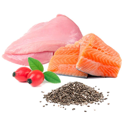 Cibo umido Barf per gatti Michi mimos BIO (tacchino e salmone) Puromenu 100 g