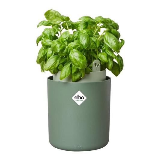 Bouncy Basil Elho Green self-watering aromatic plant pot