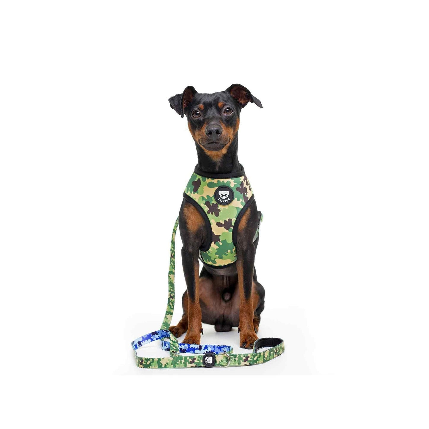 CAMO Dukier M reversible dog harness