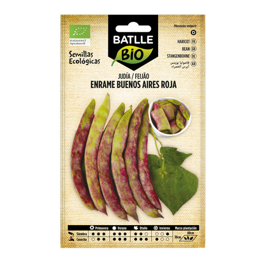 Semi di fagiolo rosso Buenos Aires biologici Batlle