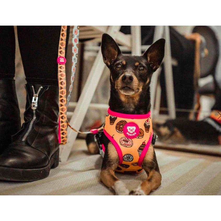 Reversible dog harness CUPCAKES Dukier XL