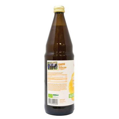 Kombucha lime och ingefära BIO Voelkel 750 ml