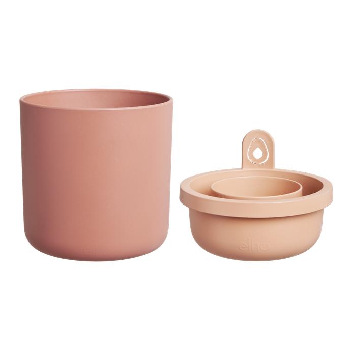 Amazing Avocado Elho Terra avocado germinator pot