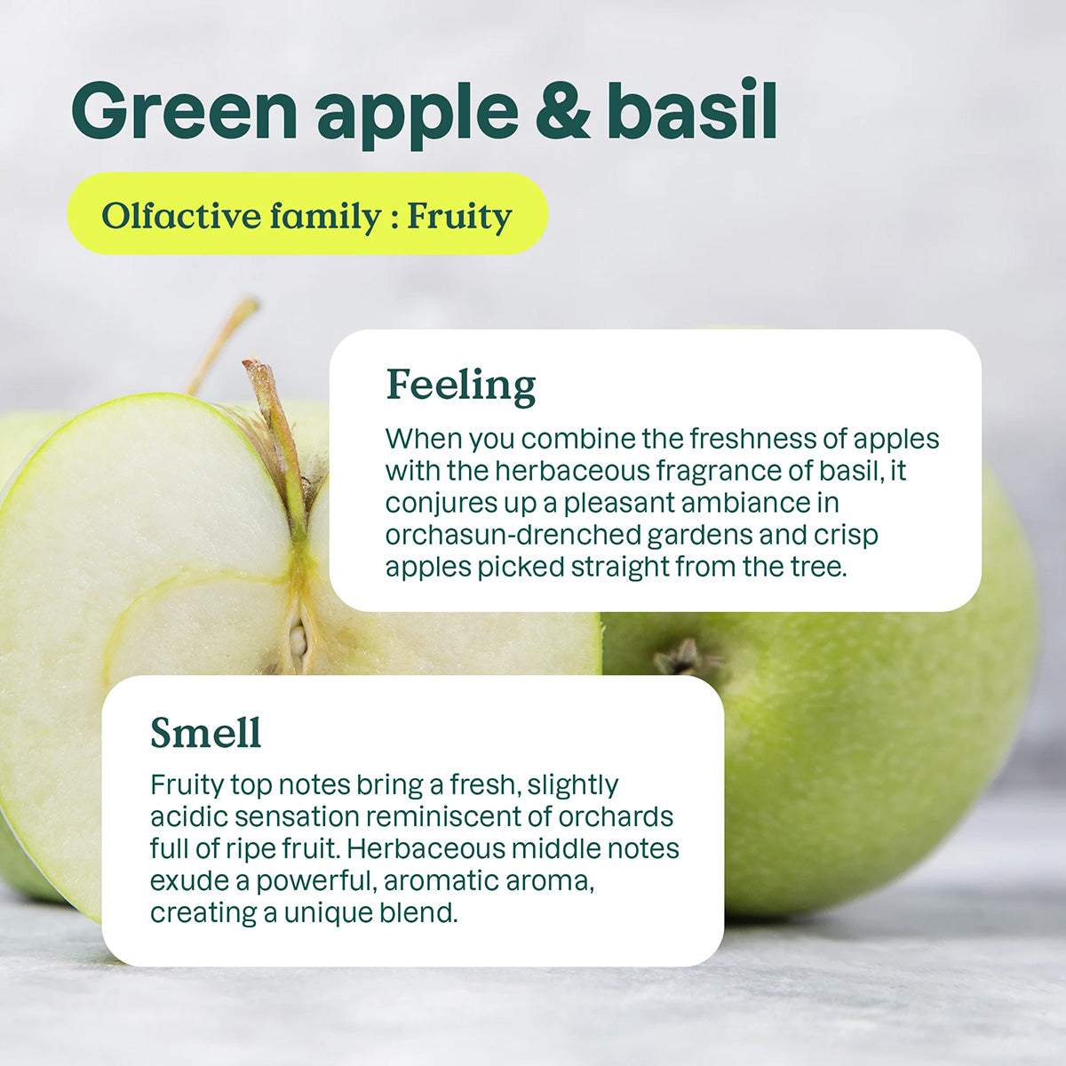 Nature + Technology Green Apple and Basil Air Purifier