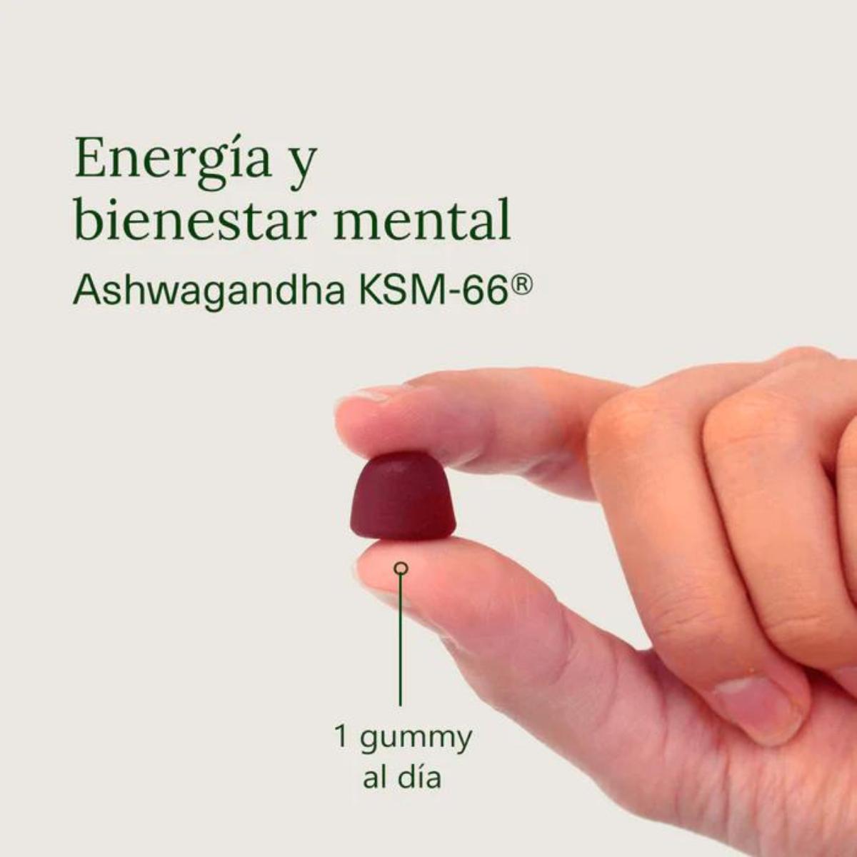 Ashwagandha w żelkach o smaku wiśniowym Aldous Bio 120 żelków