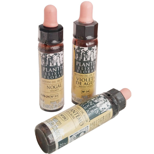 Plantis 38 Wierzba 10 ml Eco Artesania