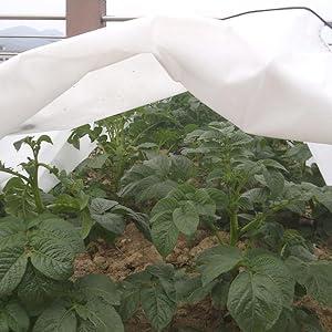 Tunnel de culture anti-gel 3 m Biotop