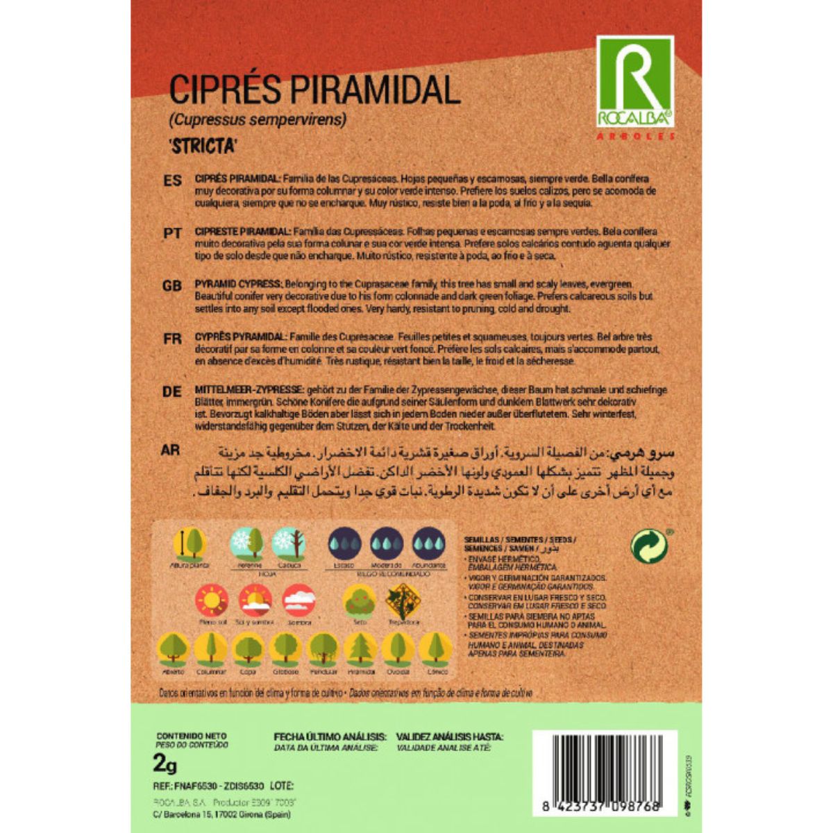 Graines de cyprès pyramidalis Cyprès sempervire