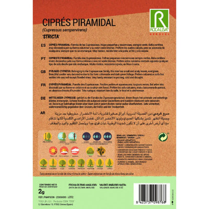 Graines de cyprès pyramidalis Cyprès sempervire