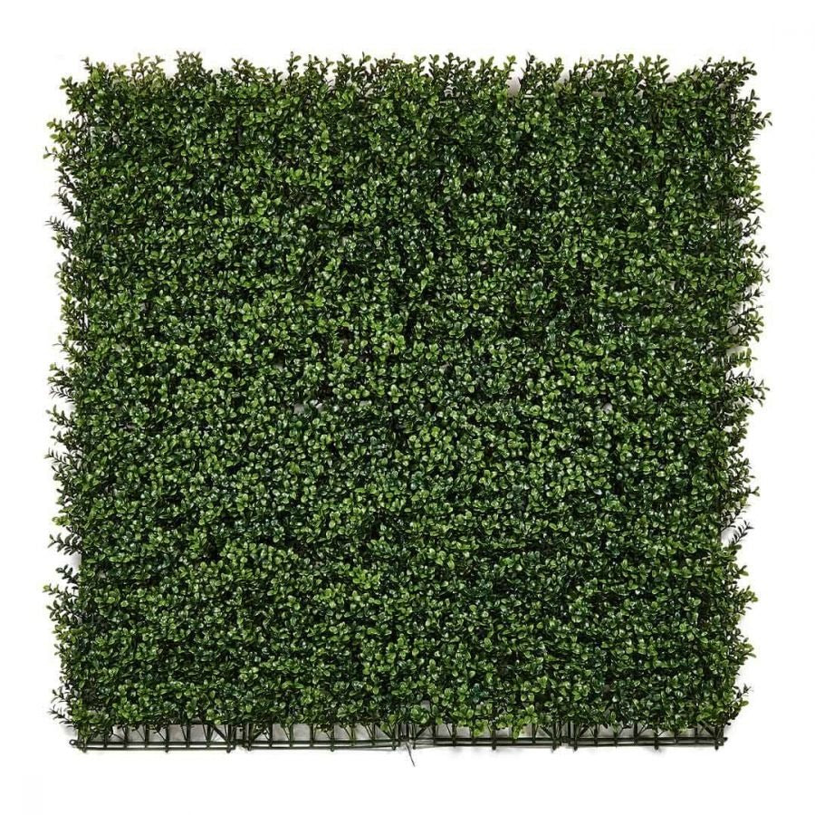 Giardino verticale artificiale Buxus Nortene 1x1 m