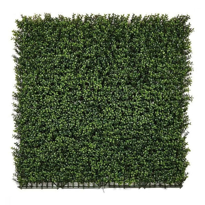 Giardino verticale artificiale Buxus Nortene 1x1 m