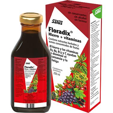 Floradix Eisensirup Salus 500 ml