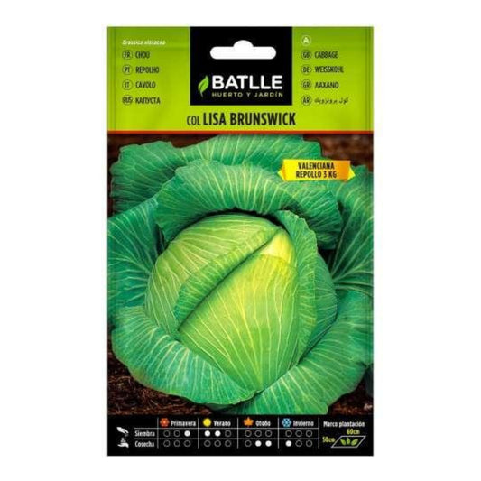 Nasiona kapusty Brunswick (Valenciana) Batlle