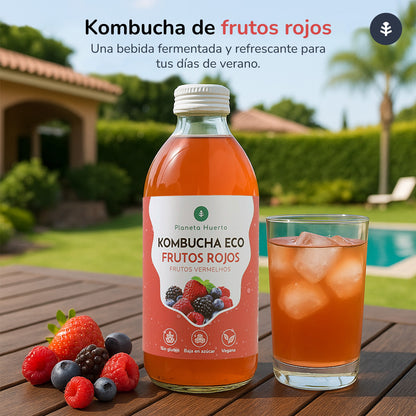 Packung 6x Kombucha ECO Rote Früchte Planet Orchard 330 ml