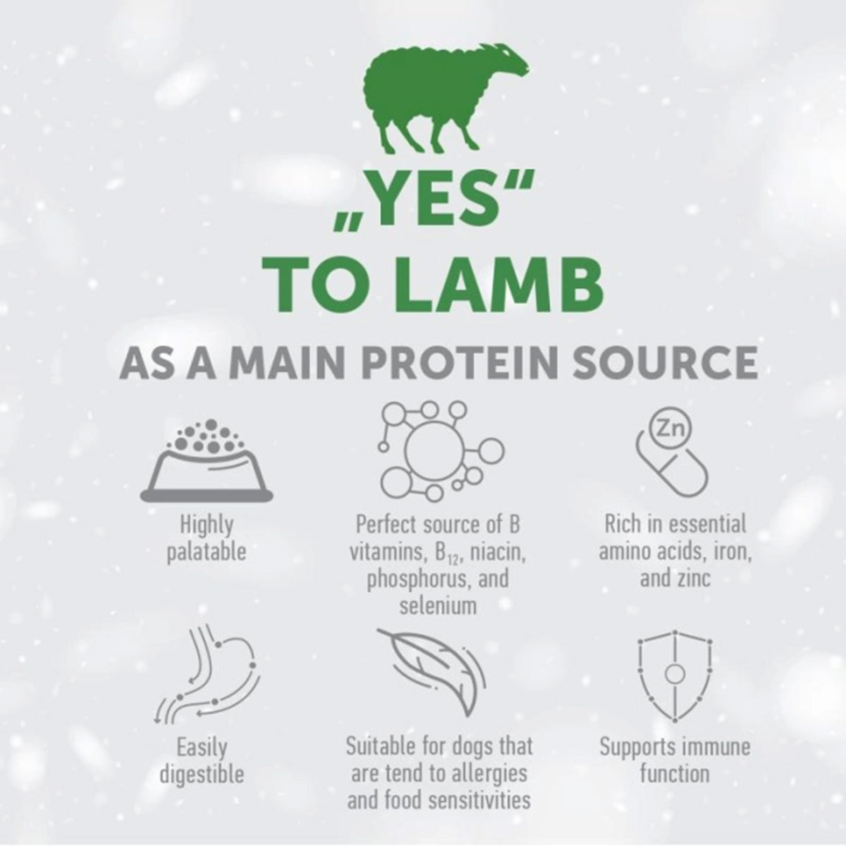 Nature's Protection White Dog Grain-Free Adult Small Breed Lamb Food 1.5 kg
