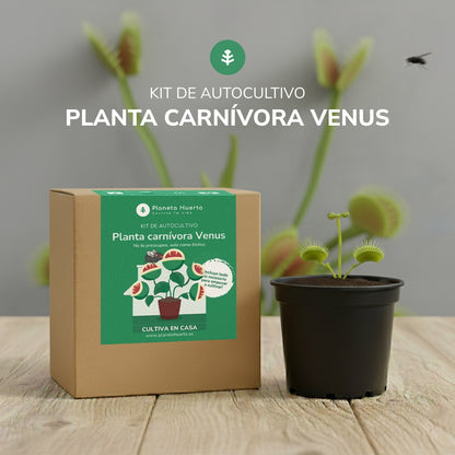 Kit di autocoltivazione Trappola di Venere pianta carnivora Pianeta giardino