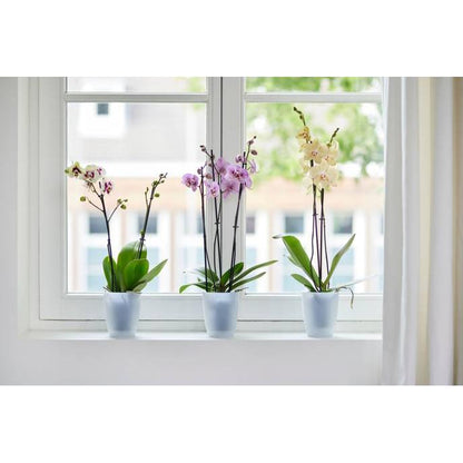 Brussels High Elho Translucent Orchid Pot