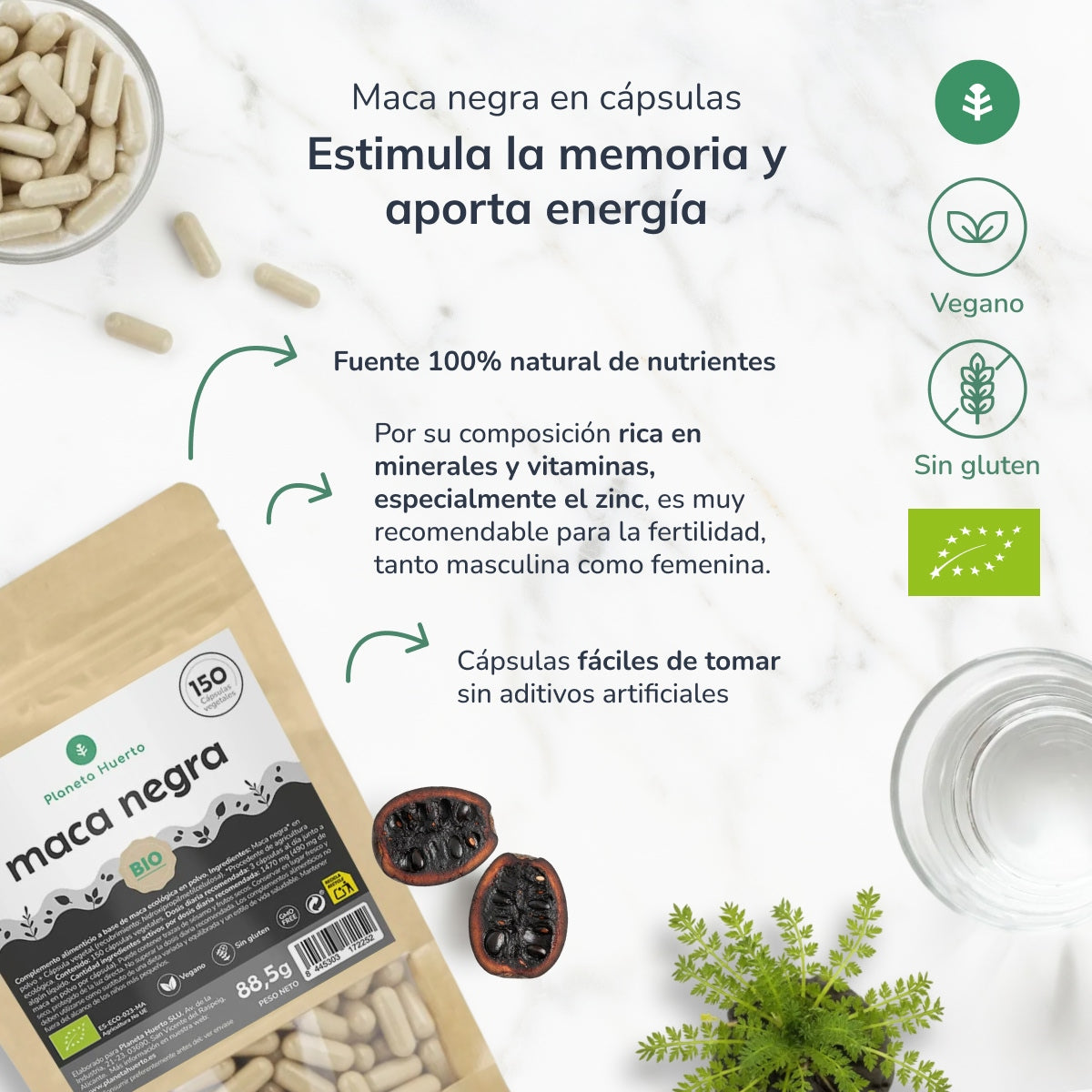ORGANICZNA czarna Maca Planeta Huerto 150 kapsułek
