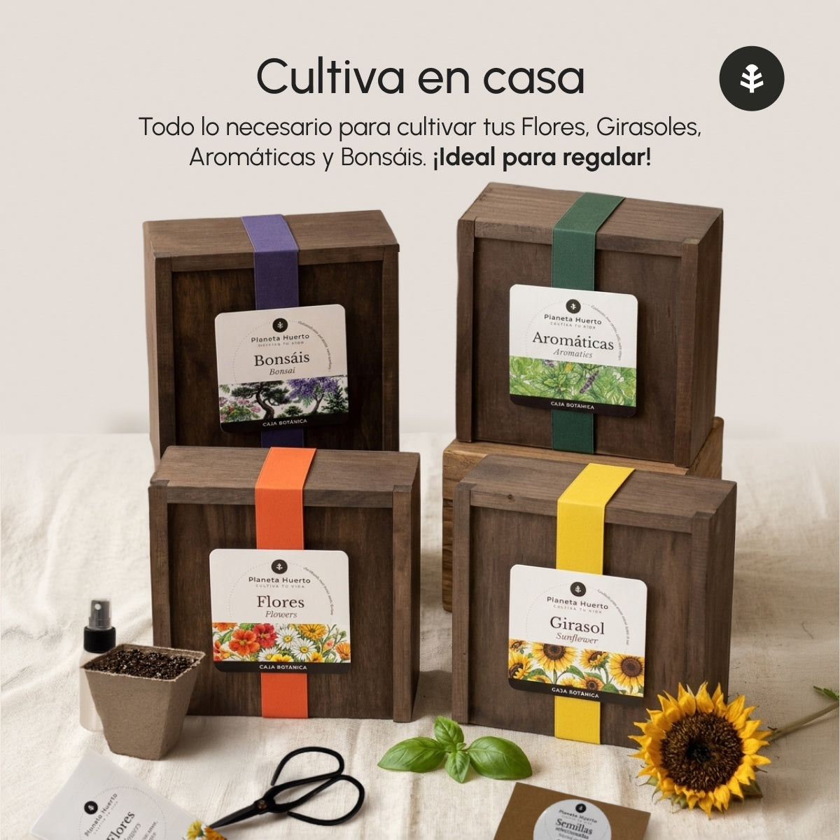 Kit de Cultivo de Flores en Caja de Madera – Regalo Original Planeta Huerto
