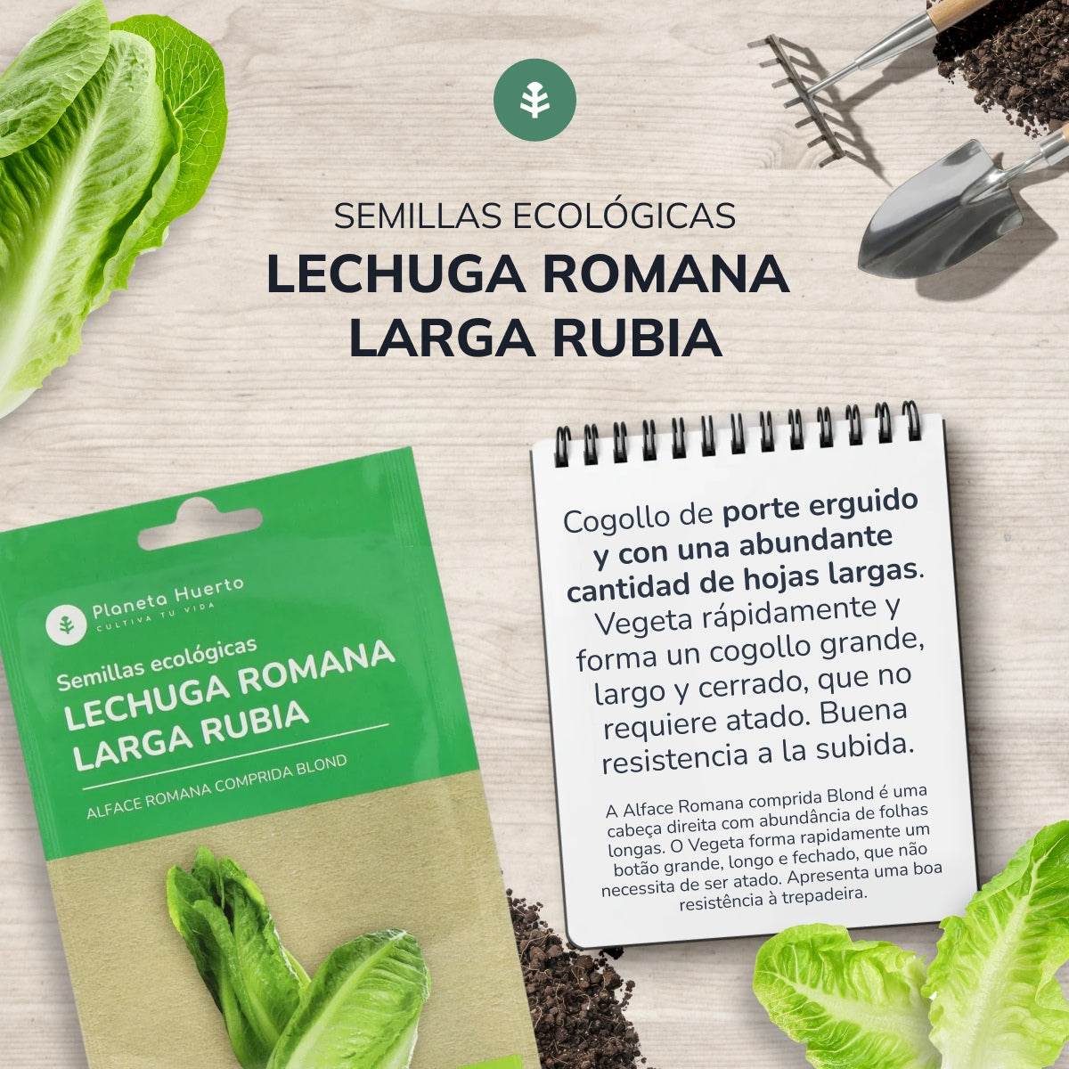 Graines de laitue romaine biologique Planeta Huerto