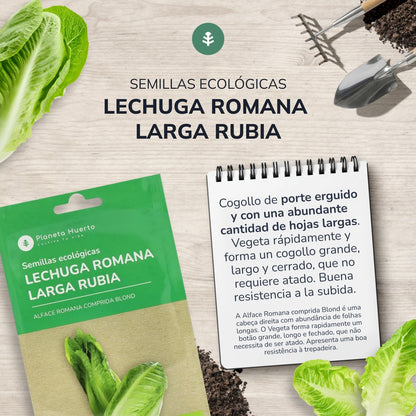 Graines de laitue romaine biologique Planeta Huerto
