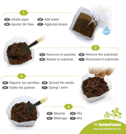 Mikro warzywa POP Mix