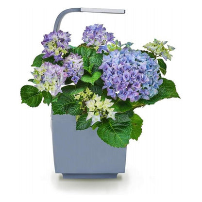 Vaso per coltivazione domestica T3 Kitchen Garden 20 x 17,5 cm Nero