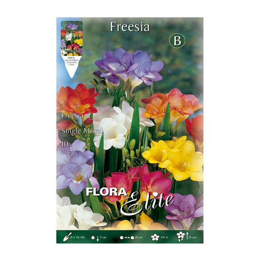 Bulbes de freesia simple mélange 10 unités