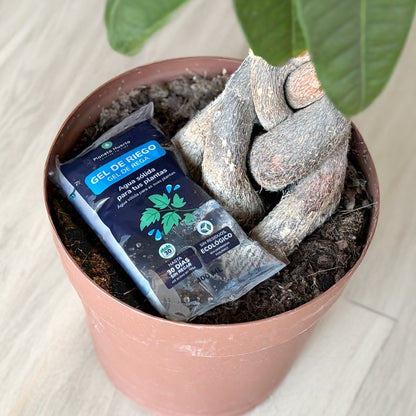 Pack of 5 x Planeta Huerto Watering Gel 400 ml