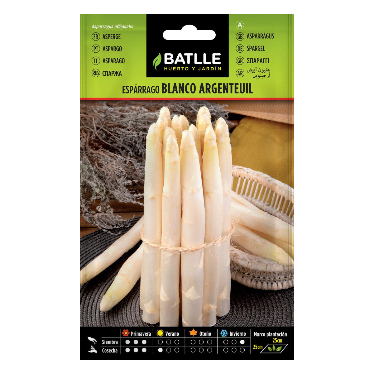 Argenteuil Batlle White Asparagus Seeds