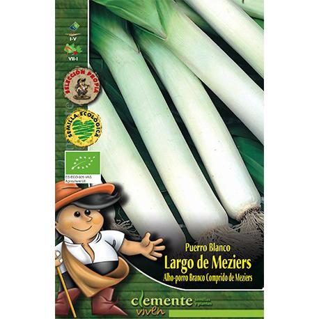 Vit purjolökfrön från Meziers Clemente