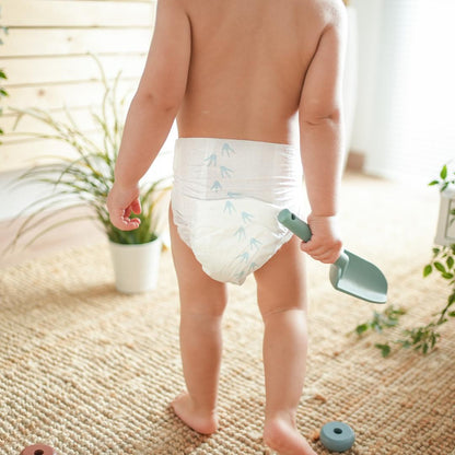 Windeln T6 XL (15-30 kg) Pingo 32 Stück