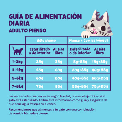 Karma dla kotów Świeże mięso z kurczaka z wolnego wybiegu Edgard & Cooper 4 kg