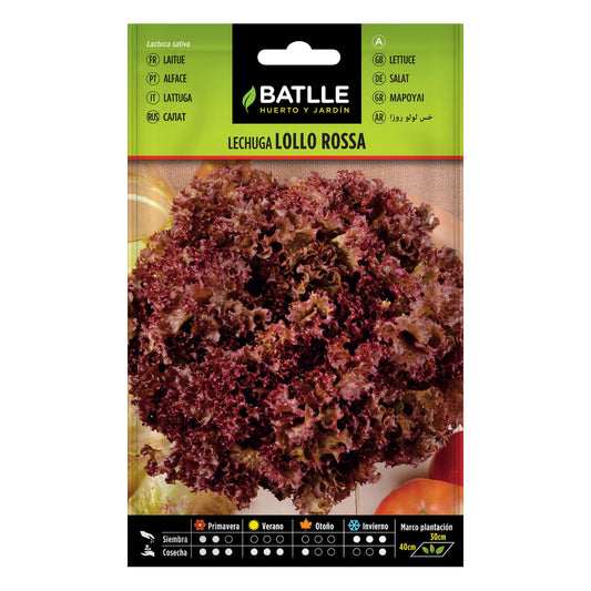 Semi di lattuga Lollo rosa Batlle