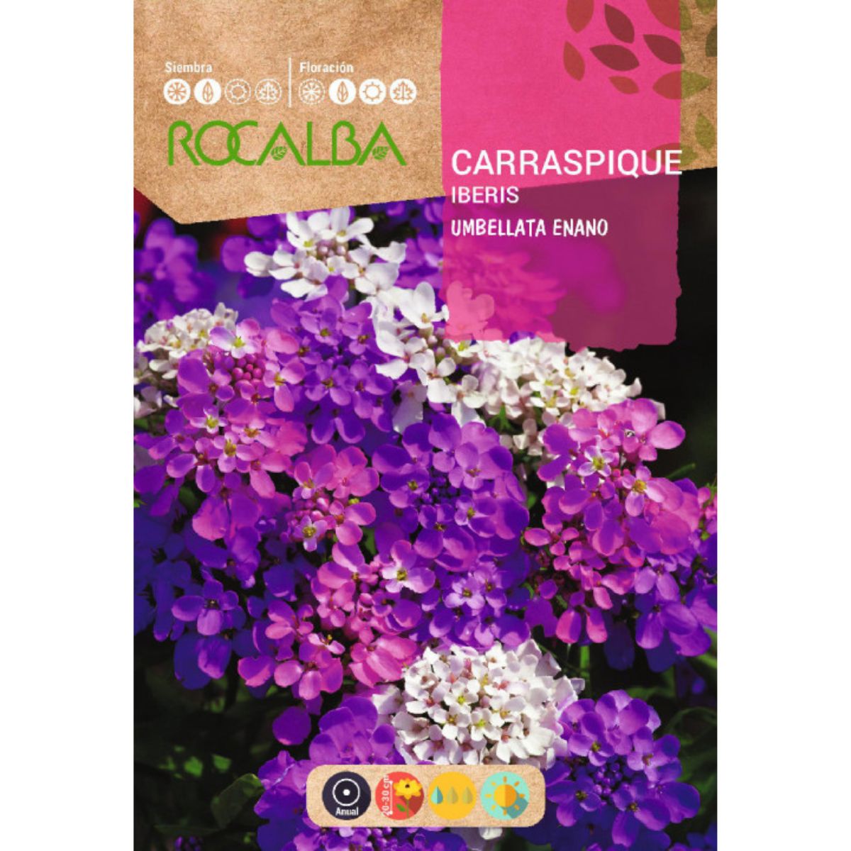 Nasiona Carraspique umbellata karłowate, mieszane