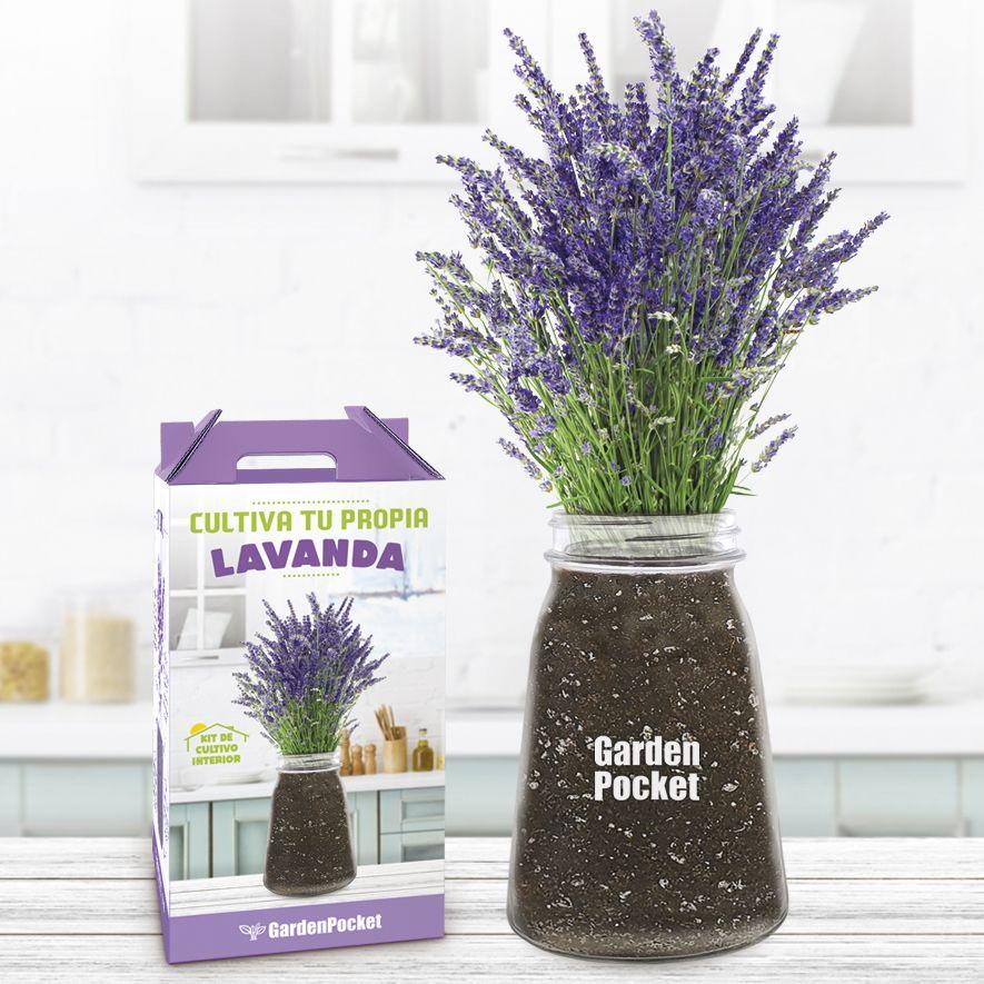 Kweek je eigen lavendel binnenshuis, Garden Pocket