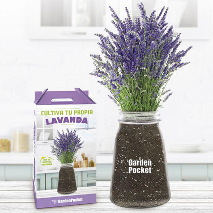 Kweek je eigen lavendel binnenshuis, Garden Pocket