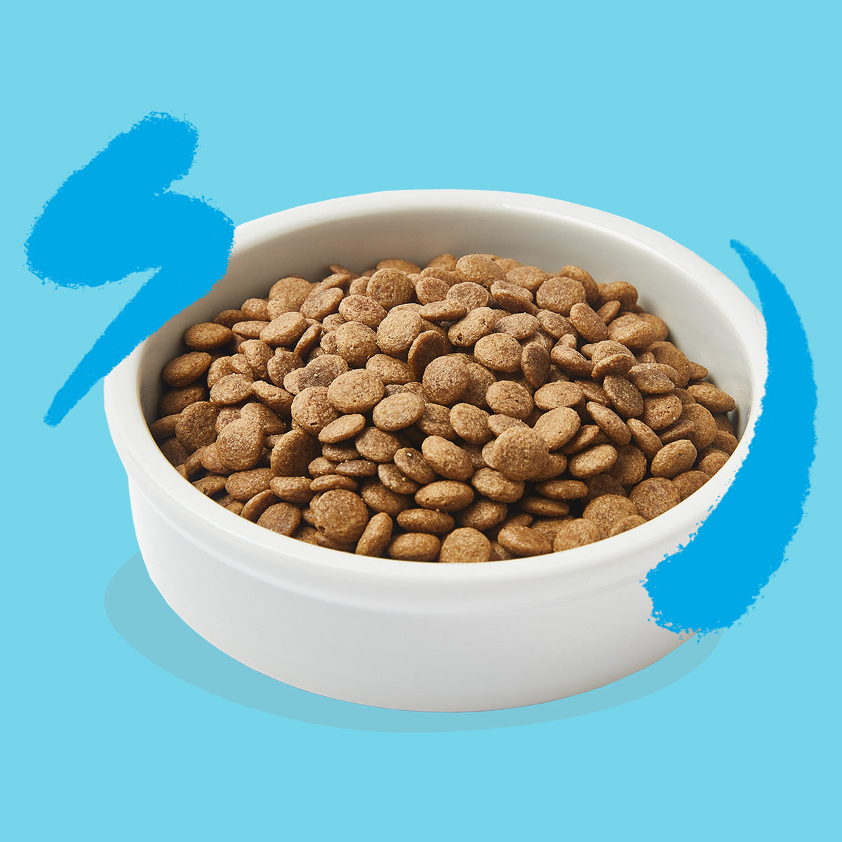 Kattfoder med färsk lax Edgard & Cooper 4 kg