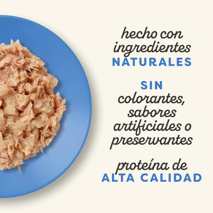 Applaws Cat Fish Selection Multipack 12 x 70 g Wet cat food