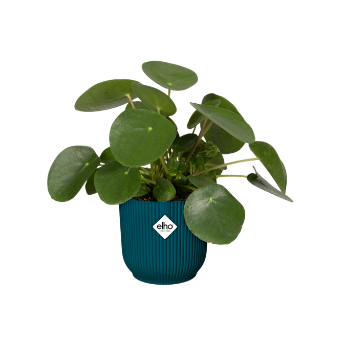 Blumentopf Vibes Fold Round Deep Blue Elho 22 cm